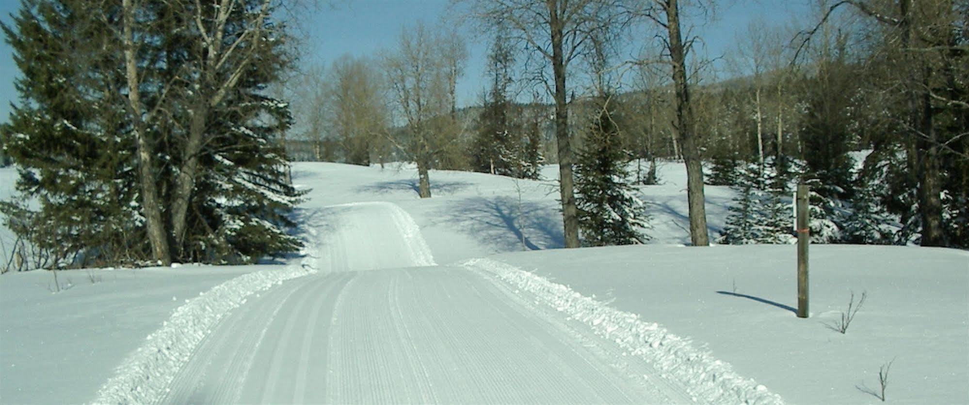 Spruce Hill Resort & Spa 108 Mile Ranch Eksteriør bilde